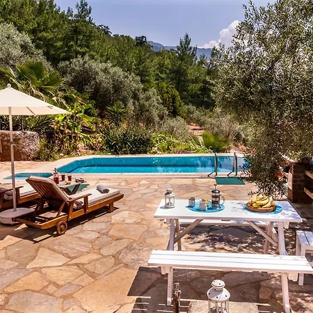 Villa Sleeps 2 Pool Air Con Wifi Kuyucak